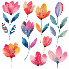 Watercolor floral element clipart clipart isolated on