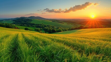 Fototapeta na wymiar Breathtaking sunset over agricultural landscape