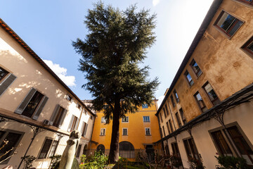 Italia, Toscana, Firenze, ambienti del Rettorato degli Studi di Firenze. Il cortile.