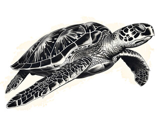 Obraz premium turtle in the water, black and white , hand drawn