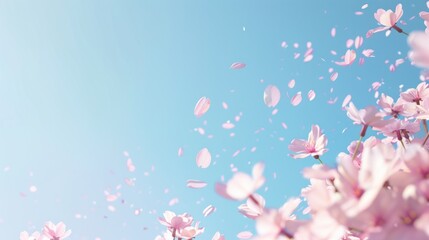 A radiant Cherry Blossom Festival scene, where the soft pink petals contrast with a clear blue sky, laid out in a banner format with a large,  spring celebrations