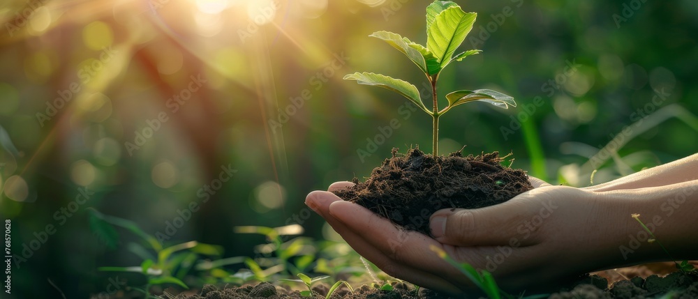 Aufkleber an image of female hand holding tree on green field grass on earth day. bokeh background. the concep
