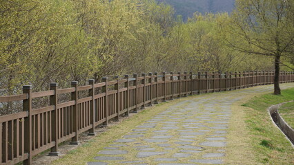 Fototapeta premium 길