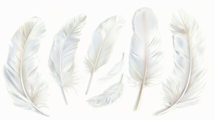 Feathers in white