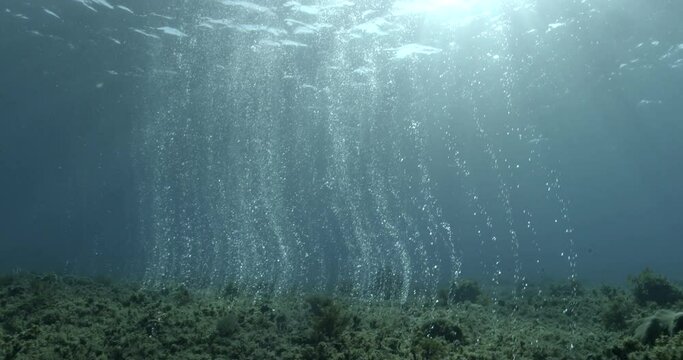 A curtain of air bubbles emerges from the reef. Fix plan. The bubbles come from divers swimming in an underwater cavern.