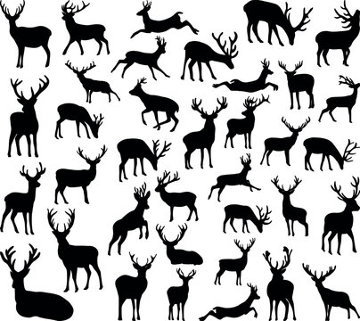 Wild deer silhouette illustration collection