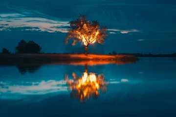 Fotobehang lone tree on fire reflecting on a nearby lake © Alfazet Chronicles