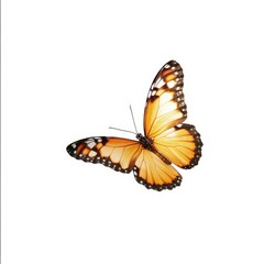 Beautiful butterfly flying, isolated on white, professional photo