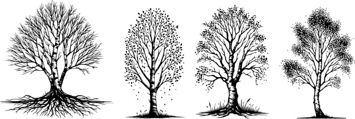 birch trees sketch in black vector illustration laser cutting engraving