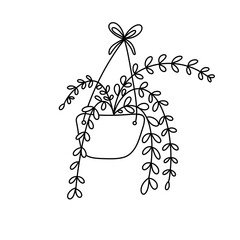 A plant is hanging from a pot. The plant is green and has leaves