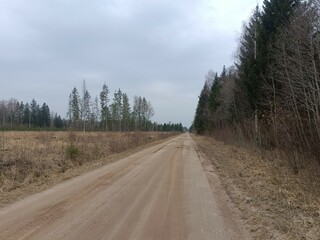 Road in forest in Siauliai county during cloudy early spring day. Oak and birch tree woodland. cloudy day with white clouds in blue sky. Bushes are growing in woods. Sandy road. Nature. Miskas.	