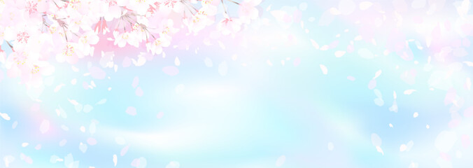 満開の桜と青空 - obrazy, fototapety, plakaty