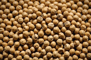 Dried high fiber, protein rich legume, garbanzo beans commonly known as chickpeas.