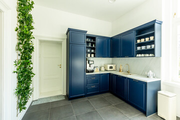 Elegant Navy Blue Kitchen Interior Boasting Modern Appliances and Chic Design