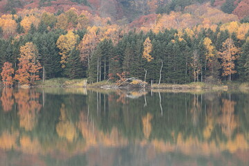 晩秋の冷え込み厳しい早朝の、薄い霧に包まれたダム湖畔