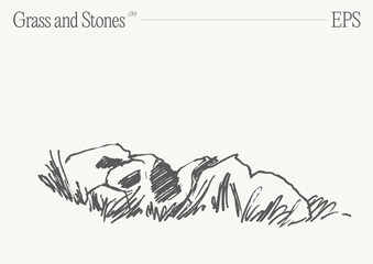 Hand drawn vector illustration of grass and rocks on blank backdrop. Isolated sketch. - 768600848