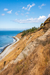 Coastal Overlook at Fort Ebey State Park in Washington State