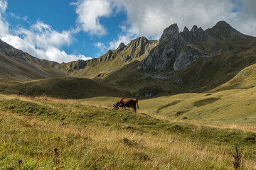 Paysage du Beaufortain en été , au lac Amour avec vue sur le Col du Coin ,  Savoie , Alpes , France