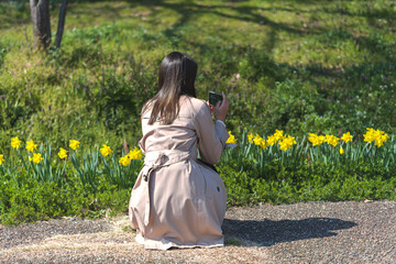 春のスイセンの花の写真を撮っているトレンチコートを着た女性