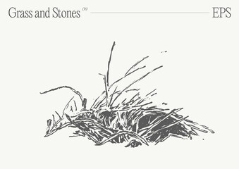 Hand drawn vector illustration of grass and rocks on blank backdrop. Isolated sketch. - 768601477