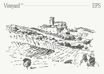 Vineyard Landscape. Vintage wine Label Background. Hand drawn vector illustration, sketch. - 768603848