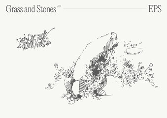 Hand drawn vector illustration of grass and rocks on blank backdrop. Isolated sketch. - 768604430