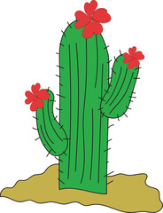 illustration of cactus in the desert