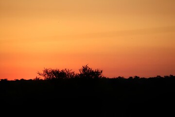 Fototapeta na wymiar Dramatic sunset sky over a forest