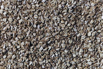 Oatmeal close-up, food photography, cereals close-up