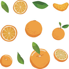 Transparent orangeTransparent orange illustration art vector illustration illustration art vector illustration