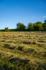 hay on hilly field in germany