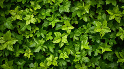 green foliage texture, Leaf texture background. Generative Ai - obrazy, fototapety, plakaty