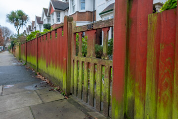 Fence on UK residential fence with green algae