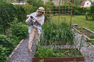 woman gardener watering raised garden beds in summer. Growing fresh vegetables