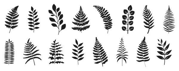 Fern vector illustration. Wild plant leaves hand drawn black on white background. Forest branch silhouette.