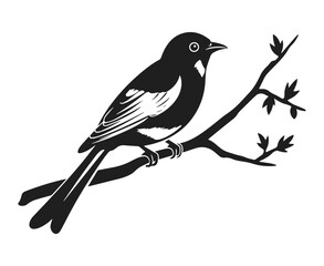 Obraz premium Bird on branch vector illustration. Small sparrow sitting on tree hand drawn black on white background. Spring nature decorative silhouette.