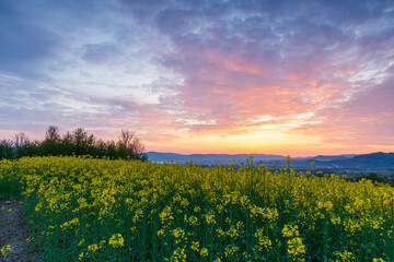Spring sunrise at rural area