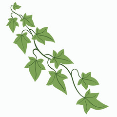 Floral ivy drawing decorative ornament flat design. - 768625457