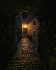 Fototapeta na wymiar A narrow passage through an arch in the old city at night. There is a cobblestone street. A street lamp is burning in the distance.