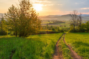 Sunrise in a spring field with green grass, a path with tire marks, the sun comes out from behind...
