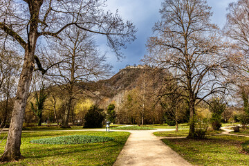 Frühling im Stadtgarten Singen mit Blick auf den Hohentwiel