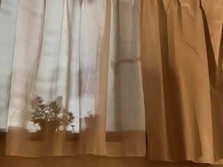 curtains