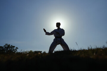 Taekwondo athlete working on his sparring stance - obrazy, fototapety, plakaty