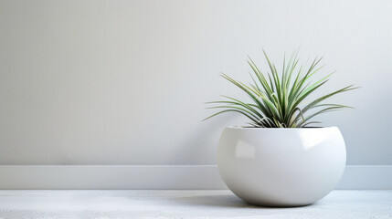 Modern Indoor Plant in Sleek White Pot Against a Textured Wall