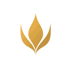 Illustration of flower