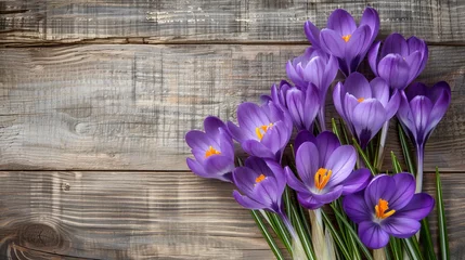 Fotobehang Vivid purple crocus flowers bloom in the springtime, captured in a stunning high-quality photograph. © Suleyman