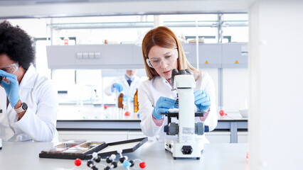 Female scientists working at the lab