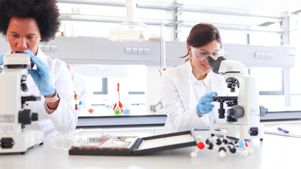 Two women working at the lab on the microscopes