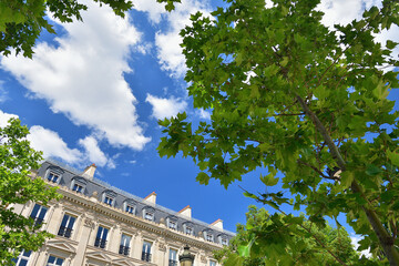 Paris, France. Buildings and trees on Place Charles de Gaulle. June 11, 2022.
