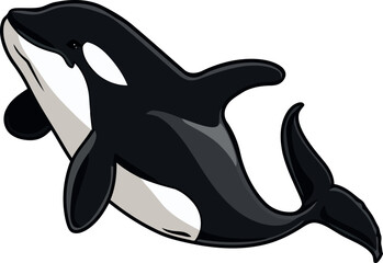 animali Marini, squalo, orca e tartaruga 05